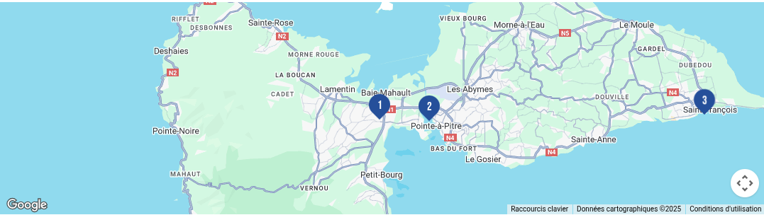 Carte des magasins Carrefour